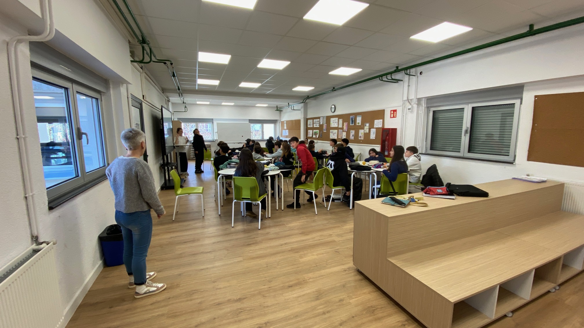 Hizkuntzen eremuko sabaia jaitsi da