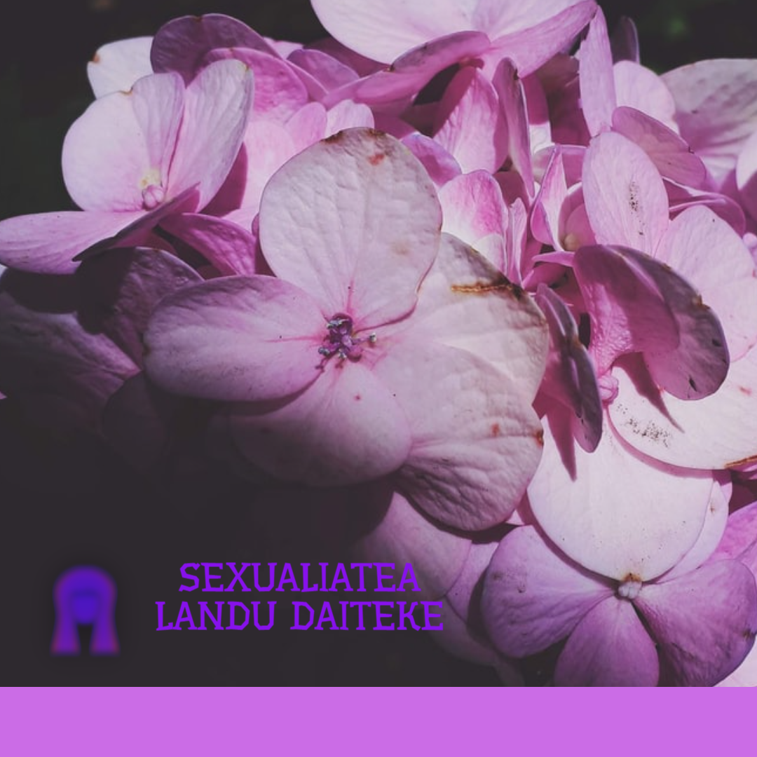 Heziketa afektibo-sexuala